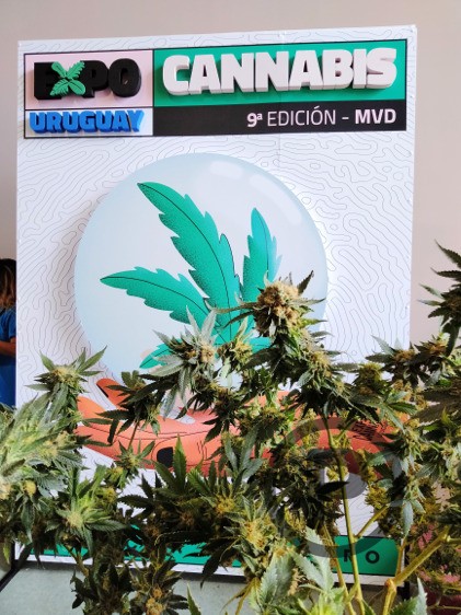 expocannabis-uruguay-2022-12-pot420blog