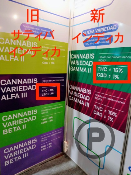 expocannabis-uruguay-2022-16-pot420blog